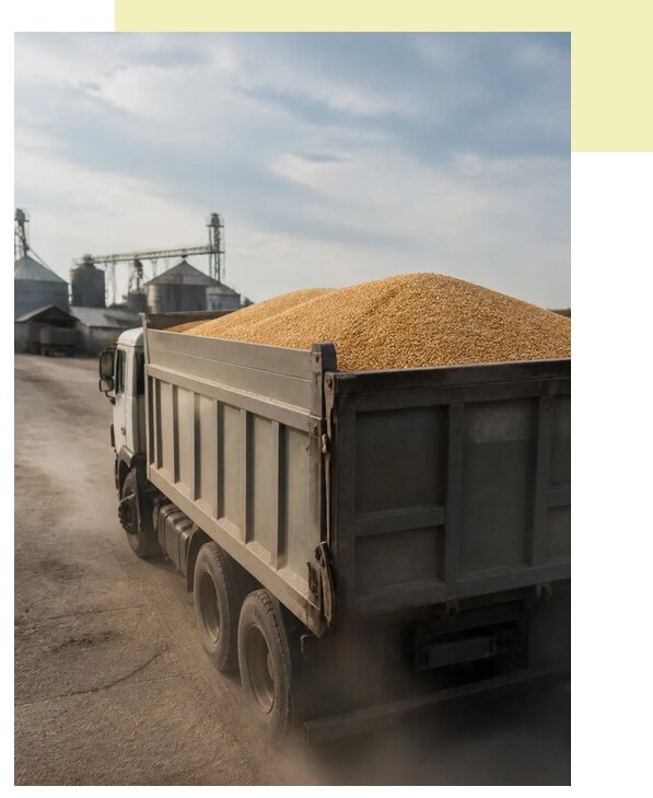 Перевозка сельхозпродукции навалом в Кизилюрт по цене от 3098 р. | Агросервис-Кзт